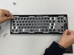 Switch Plate Replacement