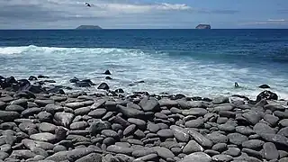 Beach in North Seymour Island, Galápagos