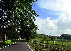 Small road in Zanja heading towards Abra Honda