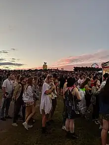 Big Pineapple Music Festival in 2019