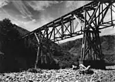 Bush tramway bridge with two piers crossing the Hutt River at Te Mārua