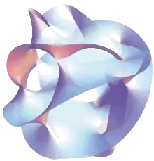 Visualization of a complex mathematical surface with many convolutions and self intersections.