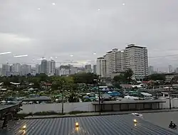 Cebu Business Park skylines with The Persimmon Condominium