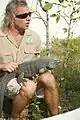 Blue iguana (Cyclura lewisi), The warden is educating tourists about the iguana, Queen Elizabeth II Botanic Park