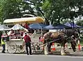 Lockyer Valley Heritage Festival 2022, horse cart before Neumann Haus