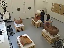 Louvre-Lens - Restauration du Sarcophage des Époux (Cp 5194) avant l'exposition Les Étrusques et la Méditerranée (A03, 9 octobre 2013)