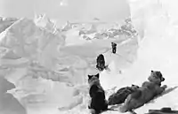 Zip, Amundsen and Switzerland at the Denman Glacier