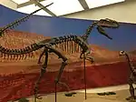 A Monolophosaurus attacking a Bellusaurus in a temporary Silk Road exhibit.