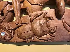 Geodorcus helmsi on a pare