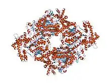 1r4n: APPBP1-UBA3-NEDD8, an E1-ubiquitin-like protein complex with ATP