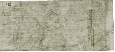 colour copy of the reverse of the petition