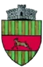 Coat of arms of Cornu Luncii