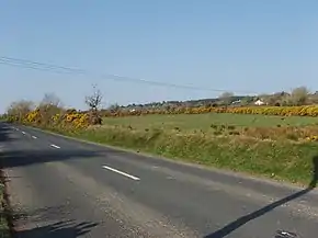 Road near Mullanour beside pasture and gorse - geograph.org.uk - 1305275.jpg