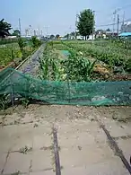 In Pyeong-dong, Suwon37°14′58″N 126°58′47″E﻿ / ﻿37.24944°N 126.97972°E﻿ / 37.24944; 126.97972