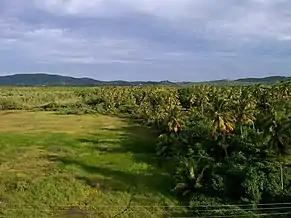View from Aquarius Vacation Club in Boquerón